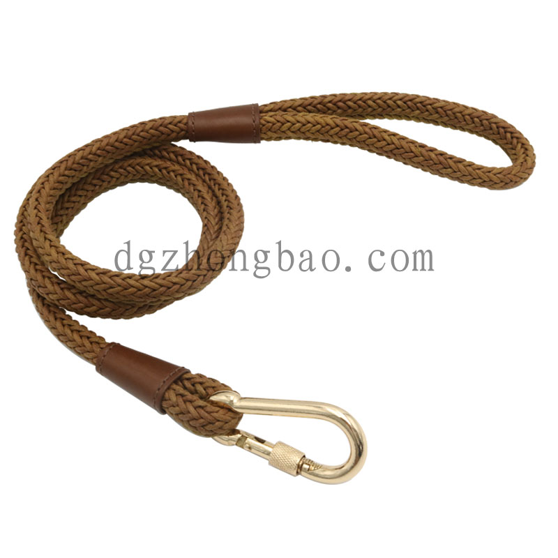 Braided pet leash