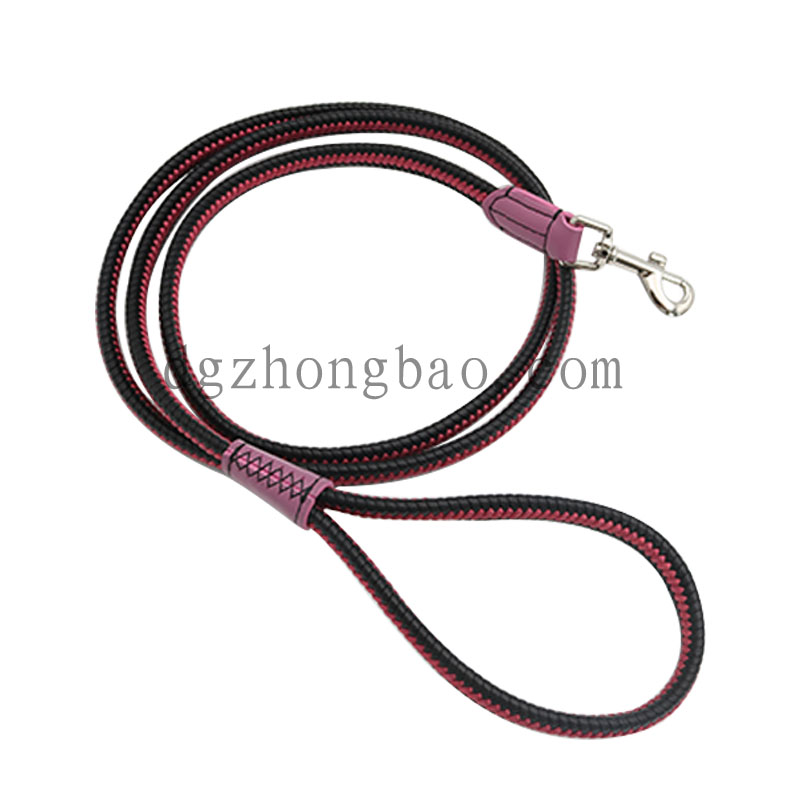 Braid pet leash