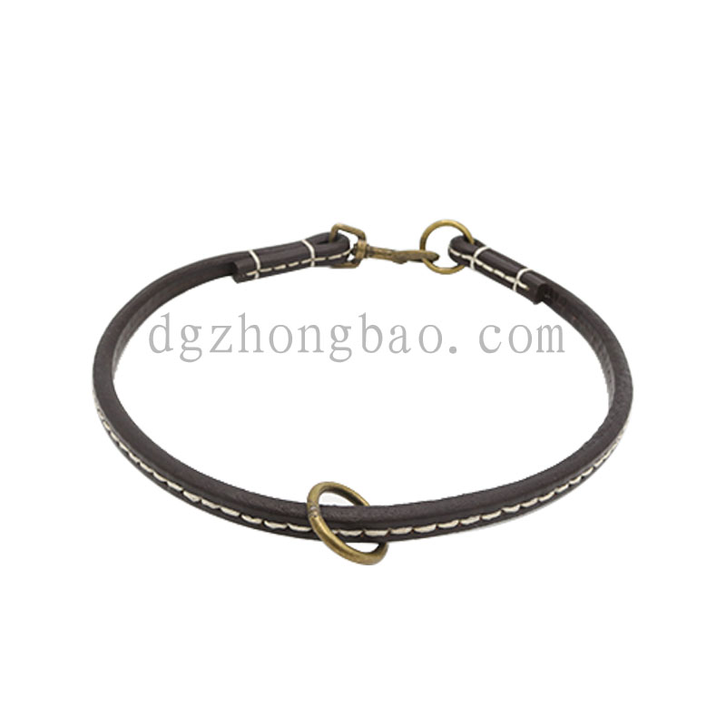 Multi-functional leather pet collar