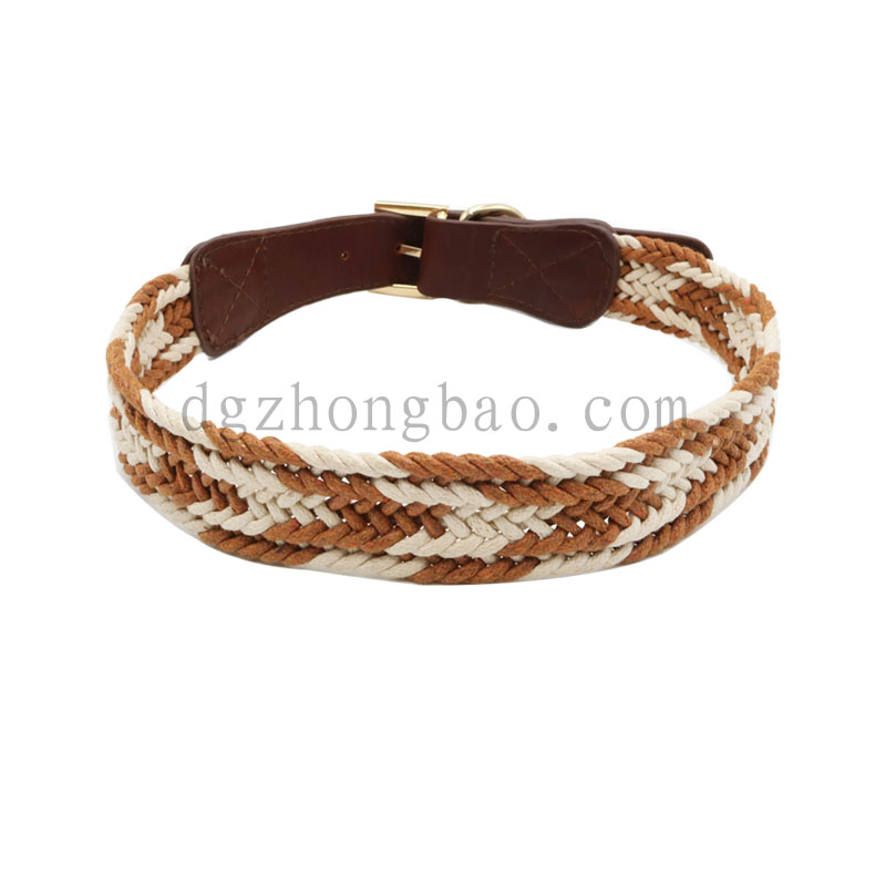 Braided pet leash collar